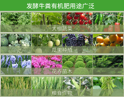 腐熟牛屎做肥料該選哪種牛糞發(fā)酵劑