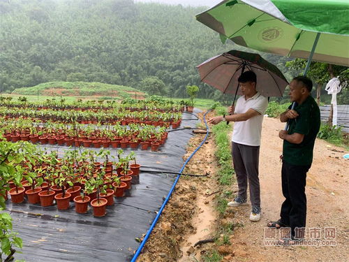 護航項目落地,共繪古水鎮(zhèn)鄉(xiāng)村振興美麗畫卷