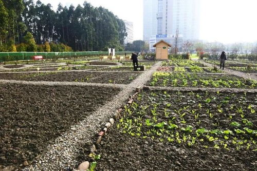 聚焦高品質(zhì)城市空間示范區(qū)建設(shè),這個會議這樣強調(diào)