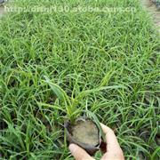 【濰坊昌邑產(chǎn)品庫(kù)】_價(jià)格/圖片/廠家 - 山東產(chǎn)品庫(kù)
